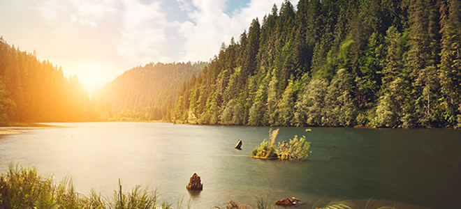 Corporate Responsibility statement banner image