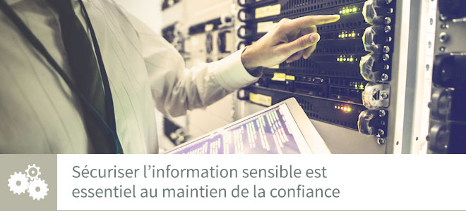 Privacy and information security banner image