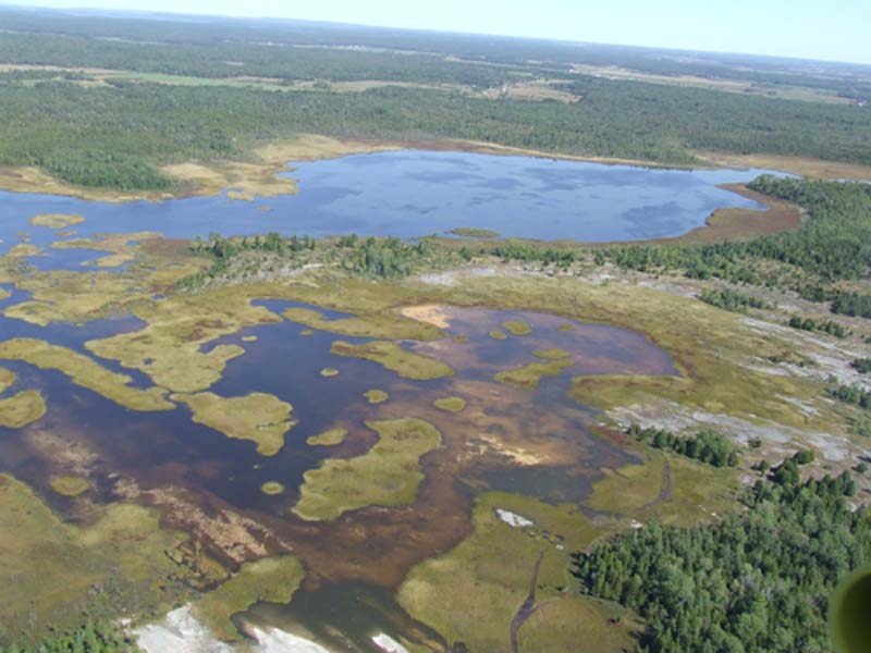 The Niagara Escarpment Forest Carbon Project