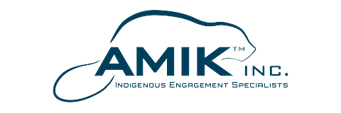 AMIK logo
