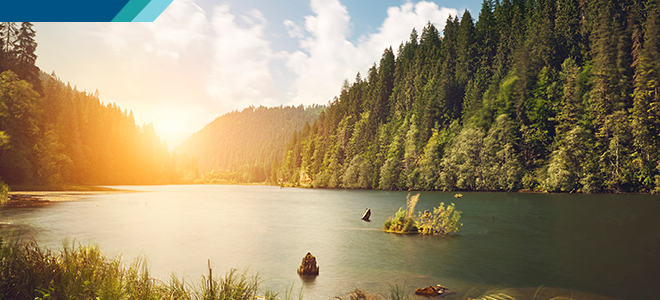 Corporate Responsibility statement banner image
