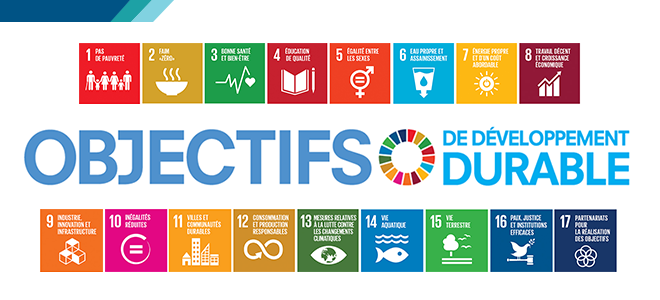 Sustainable development banner image
