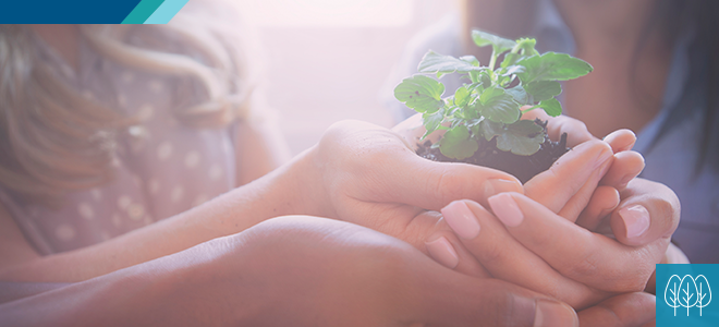Our Environment banner image