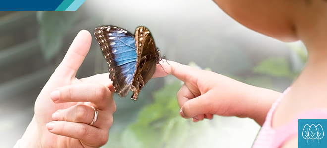 Reducing our Footprint banner image