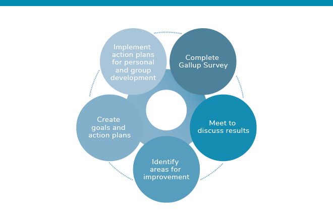 Gallup Action Plan graphic