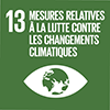 Climate Action graphic