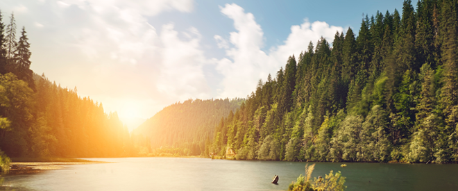 Corporate Responsibility statement banner image
